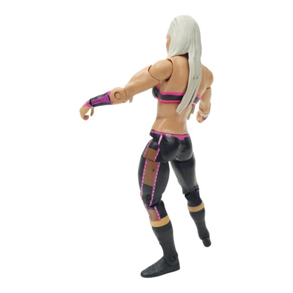 WWE Dana Brooke Wrestling Action Figure 6.25" Toy Loose 2013 Mattel - Picture 4 of 12